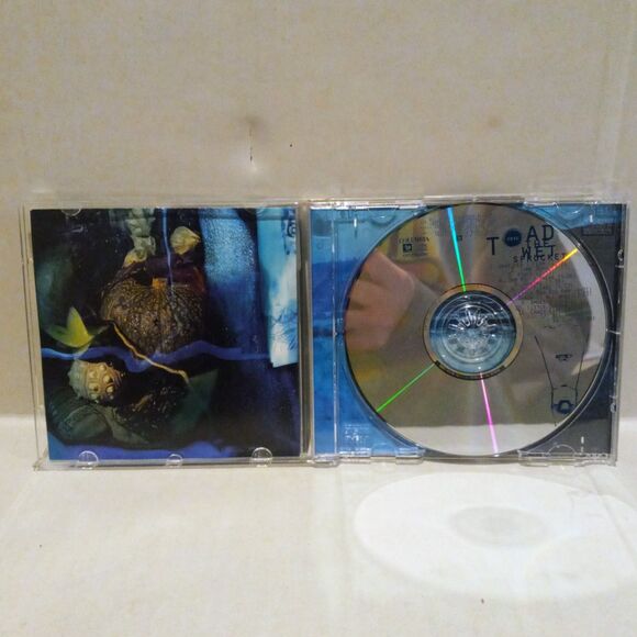 Toad The Wet Sprocket CD Lot Of 2-Dulcinea (CD, 1994)-Coil (CD, 1997)-Columbia - Picture 7 of 8